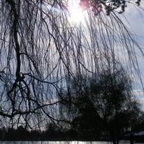 Dusk Over The Lake