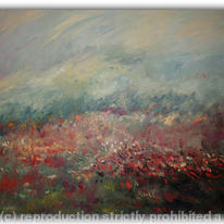 Poppies