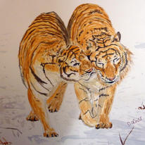 Arctic Tigers