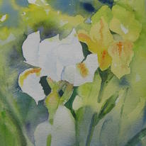 Irises