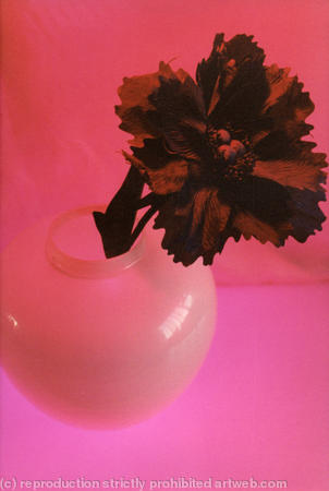 Black Flower