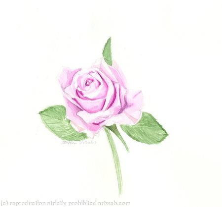 Pink Rose