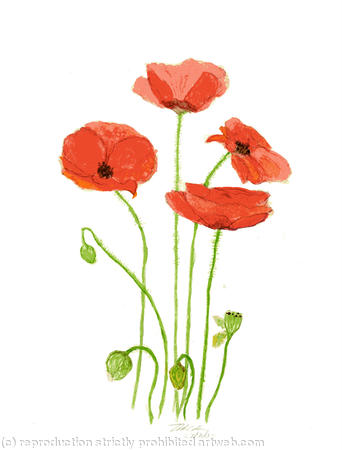 Poppy