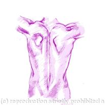Mans Torso