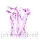 Mans Torso