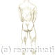 Nude Man 1
