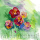 Pansies