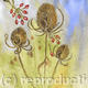 Thistles