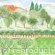 Tuscan Landscape