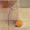 Orange with delicate…