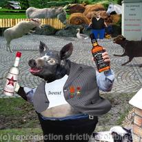 hidden Animal farm 2