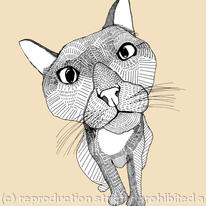 BIGHEADCAT