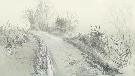 misty morning towards Lammings Marsh