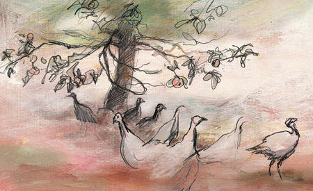 turkeys in the orchard