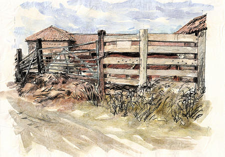 the cow shed
