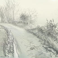 misty morning towards Lammings Marsh