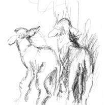 2 new lambs