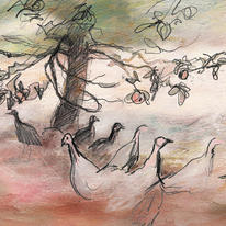turkeys in the orchard