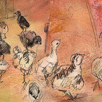 turkey chicks 3 days old
