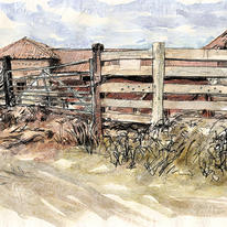 the cow shed
