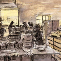the packing shed