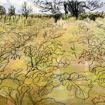 the rhubarb bed