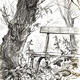 wild garden sketch 1