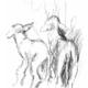 2 new lambs