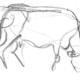 cow flicking its tail