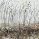 reeds in mist, dec