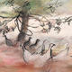 turkeys in the orchard | | | pencil, acrylic and digital turkeys in the orchard