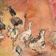 turkey chicks 3 days… | | | pencil, acrylic and digital turkey chicks 3 days…