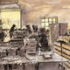 the packing shed | | | the packing shed