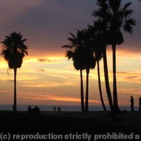 Venice Beach CA USA
