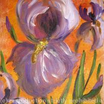 iris