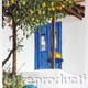 Lemon Tree