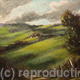 County Tipperary