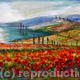 Tuscan Poppy Fields