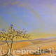 Saudi Desert Bedouin…