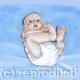 Little Boy Blue