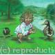 Feeding the ducks