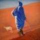 Berber Shepherd in the…