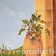 Fig Jar - finishing…