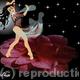Camelia 003