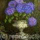 Hydrangeas