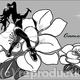 Camelia 002