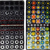 Diptych H-cells (