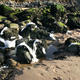 Fibre Rocks | £225 | 60 x 40cm | Gyclee signed limited edition print Fibre Rocks