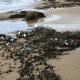 Beachscape | £225 | 60 x 40cm | Gyclee limited edition print Beachscape