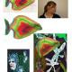 Process of transposing…